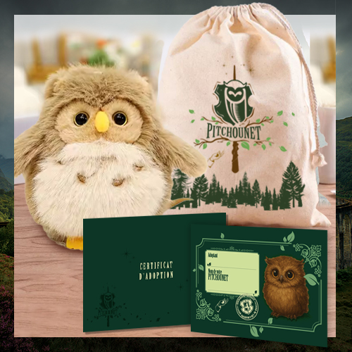 Pack ADOTE TON PITCHOUNET.