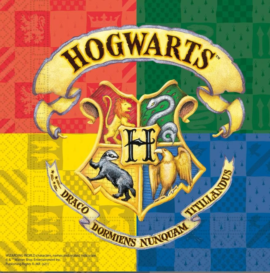 8 Assiettes Harry Potter Wizarding World pour l'anniversaire de