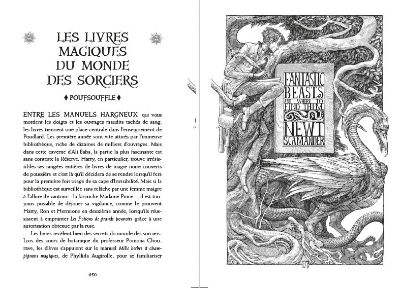 Harry Potter à l'école des sorciers: Poufsouffle (French Edition)