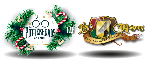 Calendrier de l'avent Harry Potter and More personnalisé par Les 4 Maisons. 