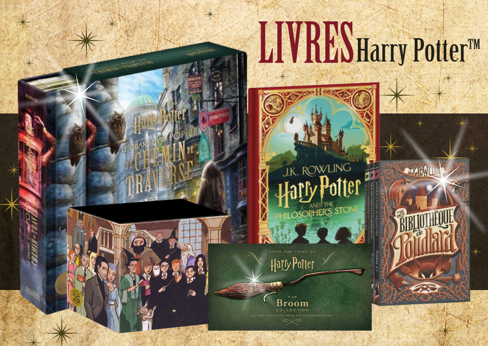 La saga Harry Potter, l'un des plus grands succès de la littérature  jeunesse !