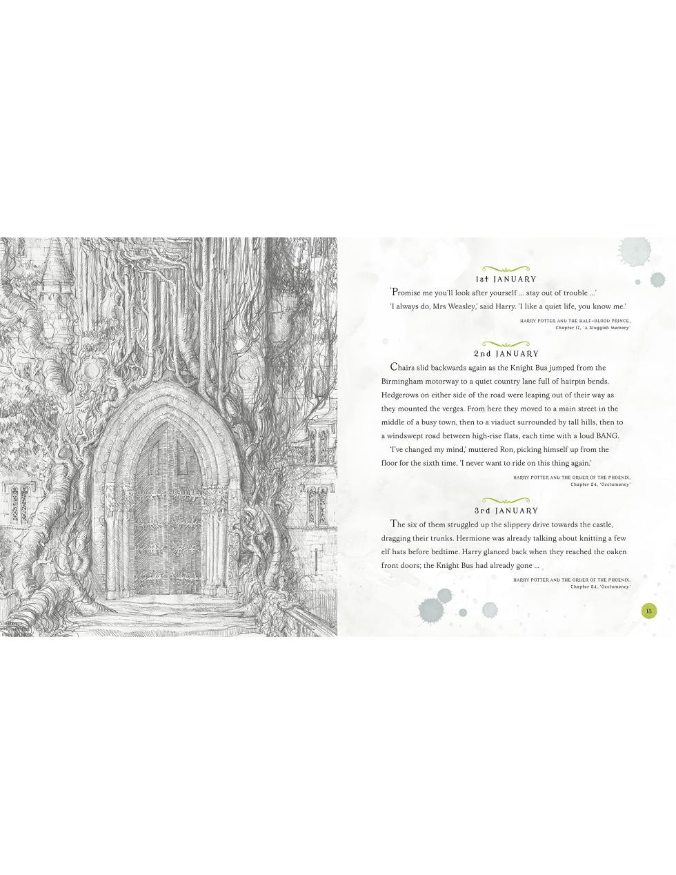 Harry Potter A Magical Year illustré par Jim Kay Harry Potter A Magical Year illustré par Jim Kay