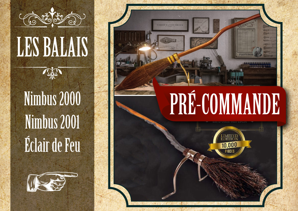 Balai Nimbus 2000 | Harry Potter | impression 3d | modèle quidditch