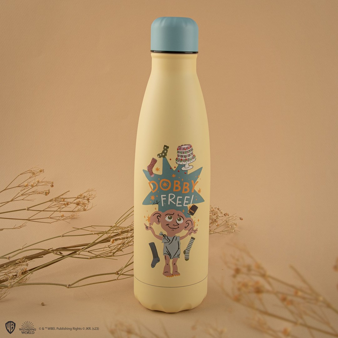 Gourde Harry Potter multicolore verre