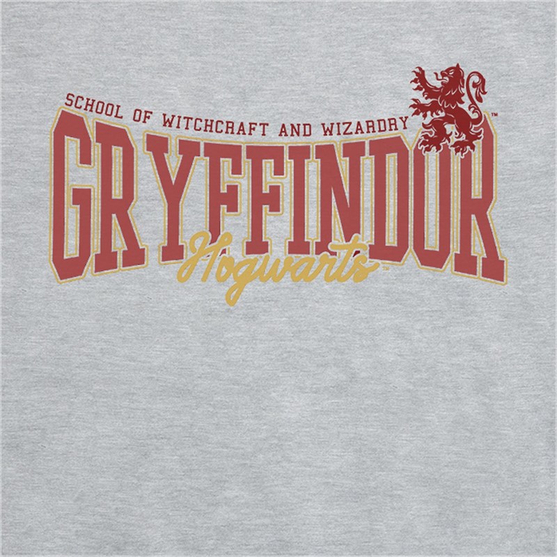 Pull collège Gryffondor - Harry Potter