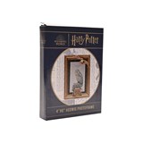 cadre photo 10x15 hedwige harry potter1 (3)