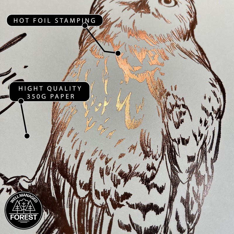 Artprint Hedwige dorure à chaud - Harry Potter