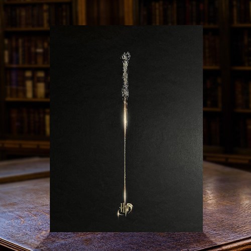 Artprint La Baguette d'Harry dorure à chaud - Harry Potter