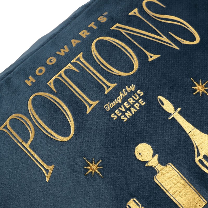 Trousse de toilette potions - Harry Potter