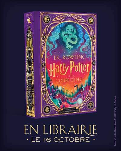 harry potter et la coupe de feu illustré par karl james mountford1