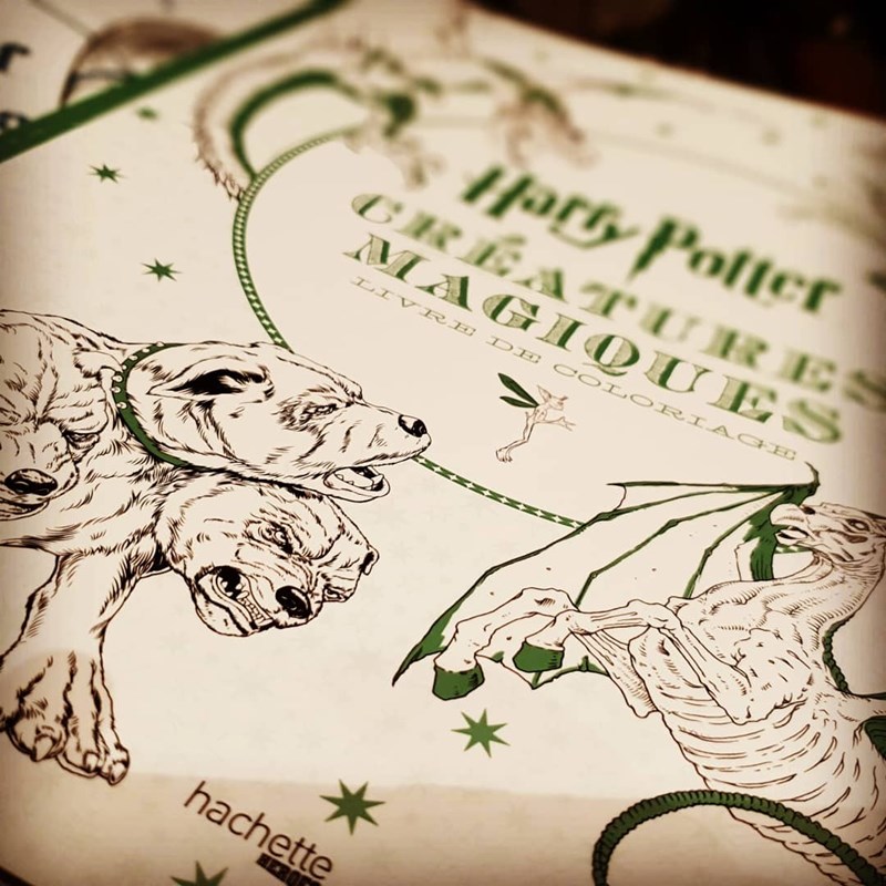 Harry Potter - Créatures Magiques (Coloriage)