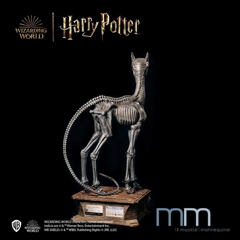 Statue taille réelle Sombral éd. lim. 444 ex. - Harry Pottrer