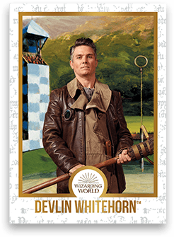 Chocogrenouille en chocolat - Harry Potter