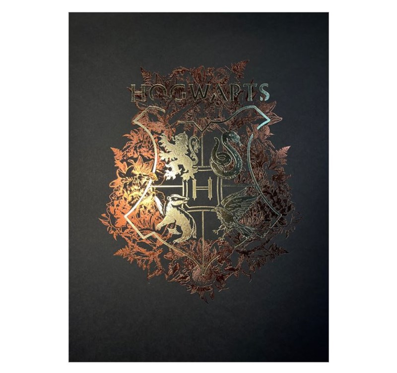 Artprint Poudlard dorure à chaud - Harry Potter
