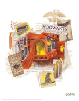 set 10 lithographies Harry Potter 05