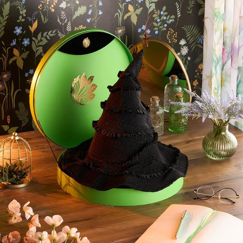 Chapeau de Elphaba Collector  - Wicked