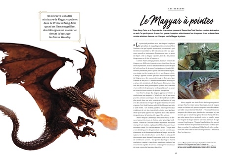 Le Grand Livre des Créatures - Harry Potter & Les Animaux Fantastiques