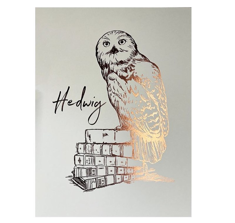 Artprint Hedwige dorure à chaud - Harry Potter