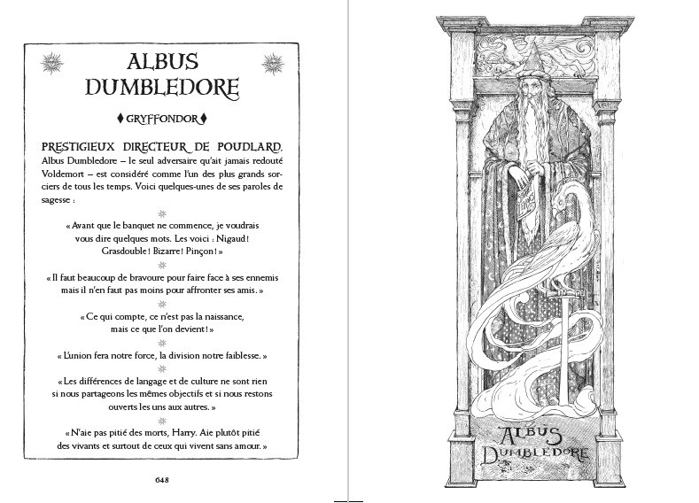 Edition Gryffondor 20 ans Harry Potter et le Prince de Sang Mêlé