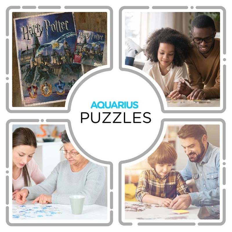 Puzzle Château Poudlard et Hedwige de nuit - 1000 pièces