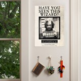 poster have you seen this wizard sirius black