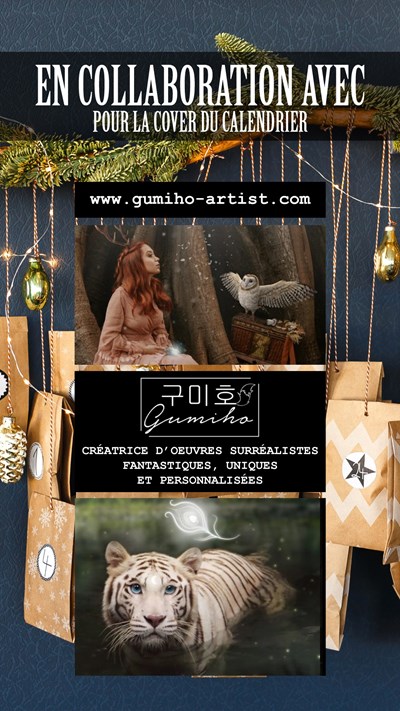 calendrier-de-l'avent-Les-4-Maisons-2021-STSORY02