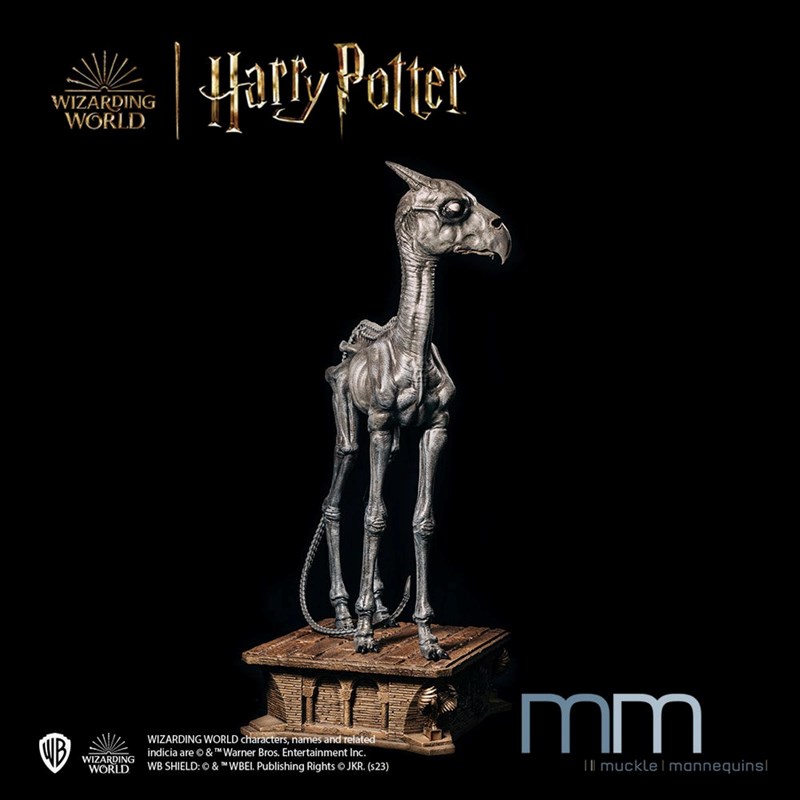 Statue taille réelle Sombral éd. lim. 444 ex. - Harry Pottrer