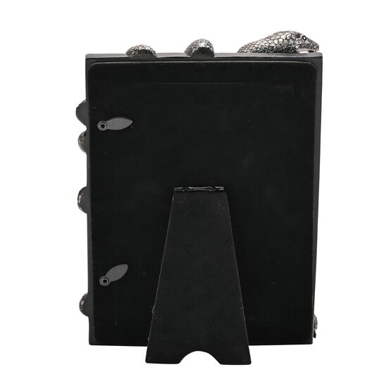 Cadre Nagini Mangemort 10x15cm - Morsmordre Harry Potter