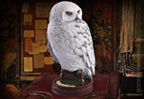 SCULO3704R_2_figurine-hedwige-chouette-harry-potter-noble-colection.jpg