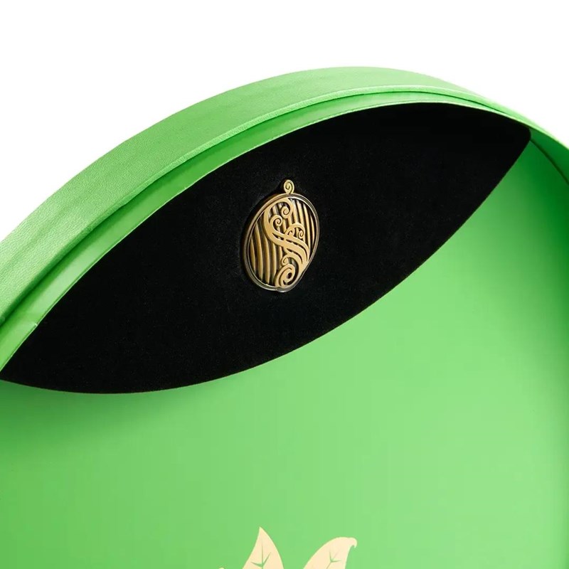 Chapeau de Elphaba Collector  - Wicked