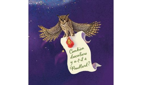 Harry Potter Le Guide Ultime