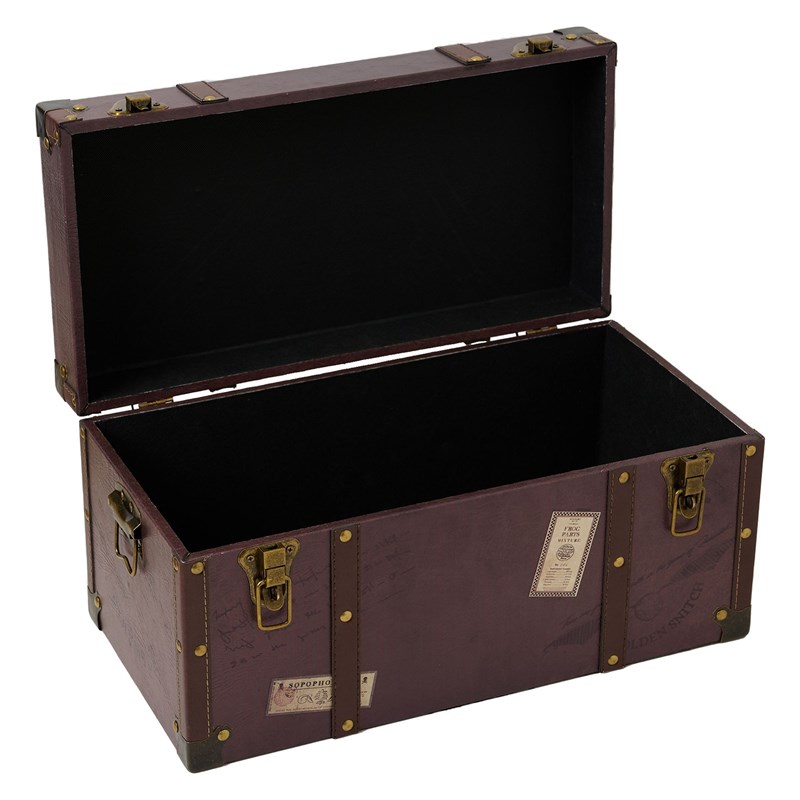 Ensemble de 2 malles Harry Potter imitation cuir