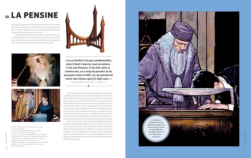 100 Objets cultes et emblématiques de la saga Harry Potter