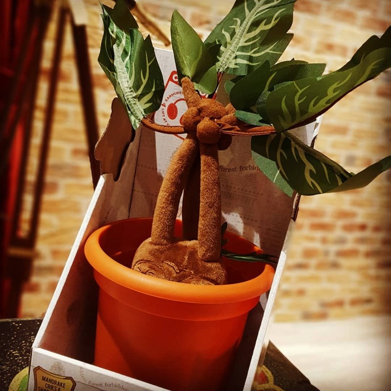 Peluche Mandragore interactive - Harry Potter