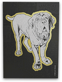 Créatures mystères en chocolat - Harry Potter