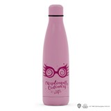 BOUT6WVW1S_1_bouteille-gourde-isotherme-500ml-luna-lovegood-lunettes-harry-potter.jpg