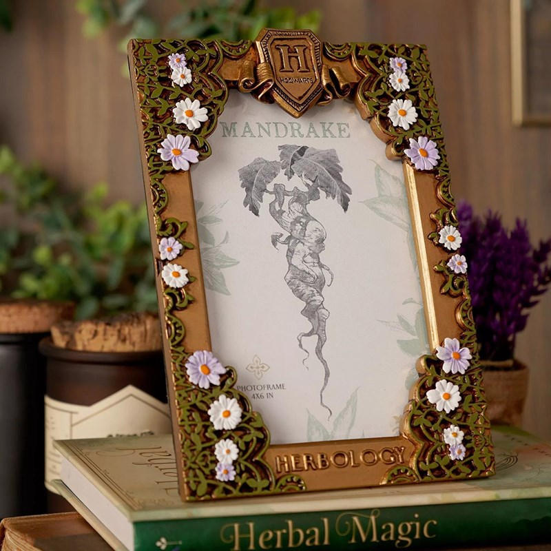 Cadre photo Herbology doré Harry Potter