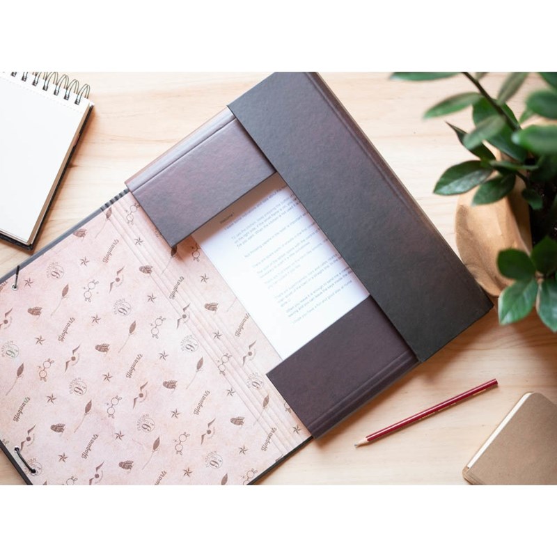 Farde à rabats & élastique Vif d'Or Harry Potter