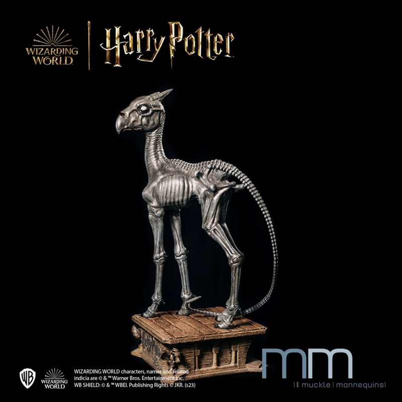 Statue taille réelle Sombral éd. lim. 444 ex. - Harry Pottrer