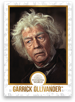 Chocogrenouille en chocolat - Harry Potter