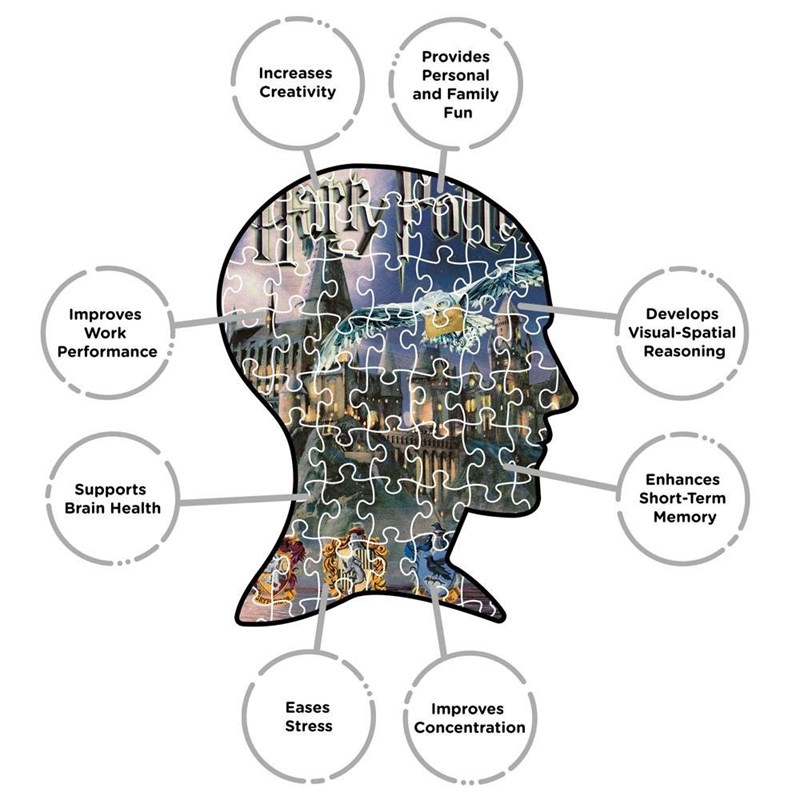 Puzzle Château Poudlard et Hedwige de nuit - 1000 pièces