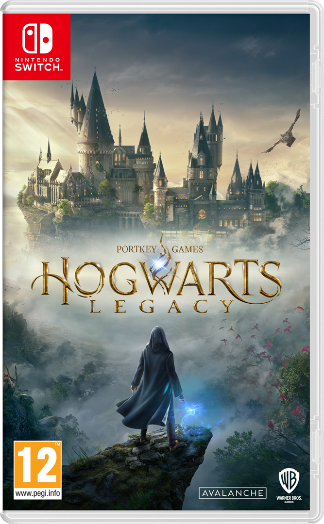 hogwarts legacy jeu video harry potter nintendo switch