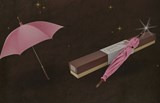 background-HOME-parapluie-hagrid