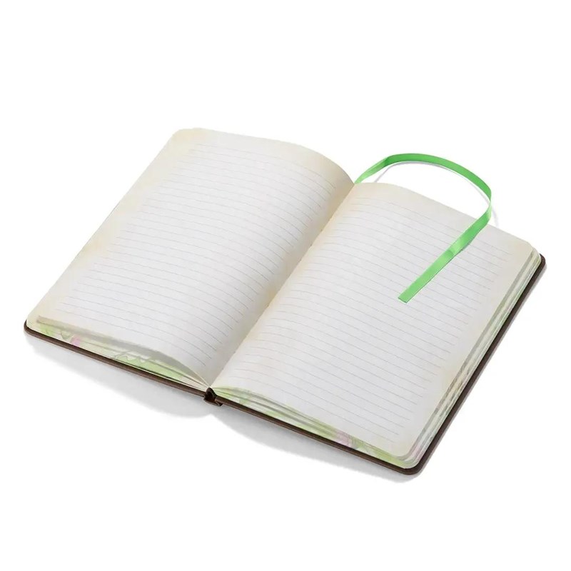 Journal d’Elphaba – Wicked – Noble Collection