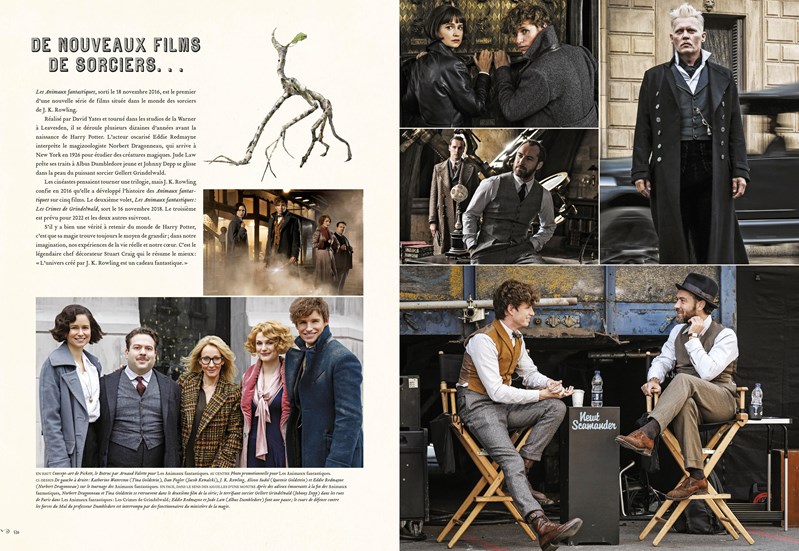 Des ROmans à l'Écran - Harry Potter