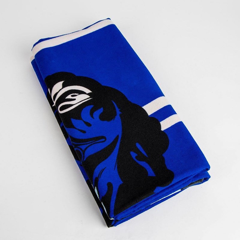 SERVIETTE DE PLAGE SERDAIGLE - HARRY POTTER