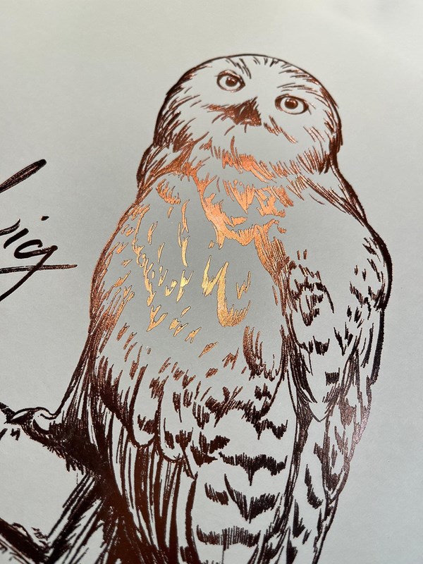 Artprint Hedwige dorure à chaud - Harry Potter