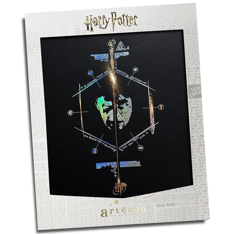 Artprint Le Portrait d'Harry dorure à chaud - Harry Potter