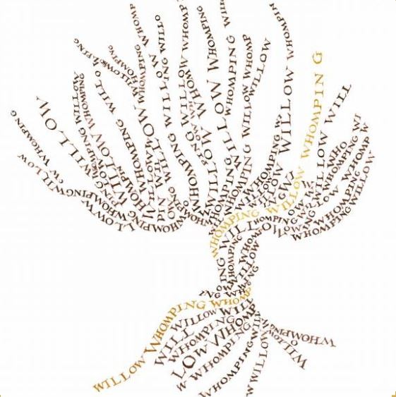 Carte de voeux - Le Saule Cogneur