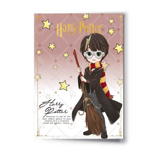 Carte de voeux pins Harry Potter